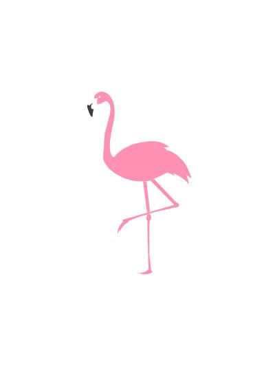 Flamingo Png Vector Images With Transparent Background Transparentpng