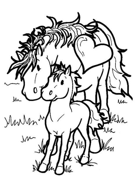 Kleurplaat Paardenhoofd Voorkant