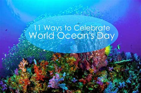 Little Critterz 11 Ways To Celebrate World Oceans Day