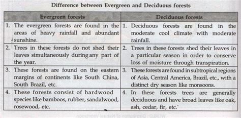 🐈 Distinguish Between Tropical Evergreen And Deciduous Forests