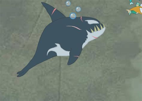 After witnessing the killing of his mate and offspring at captain nolan's hands, a vengeful killer whale goes on a rampage in the fisherman's newfoundland harbor. Whales Play Free Online Whale Games. Whales Game Downloads