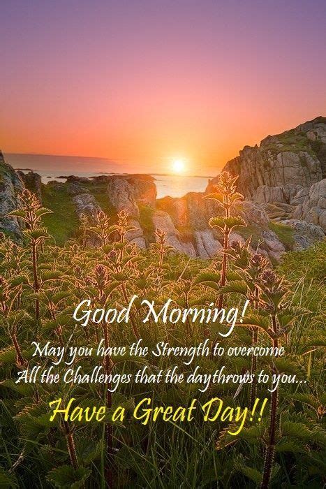 Good Morning Have A Great Day Pictures, Photos, and Images for Facebook