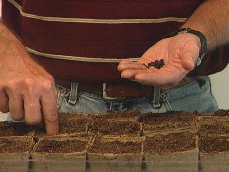 Starting seeds indoors is simple, it saves a lot of money, and it allows you to do some gardening before it's warm out. How to Grow Watermelon | how-tos | DIY