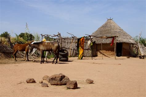 Gambian Village Grandmas Escapades