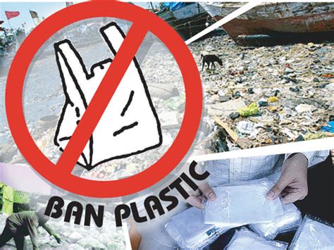 Plastic Ban Manage Waste Right Dont Penalise Small Vendors