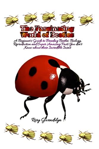 The Fascinating World Of Beetles A Beginner S Guide To Breeding