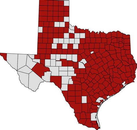 John has a journalism degree from the university of texas. File:Map of 2020 coronavirus pandemic in Texas latest.svg ...