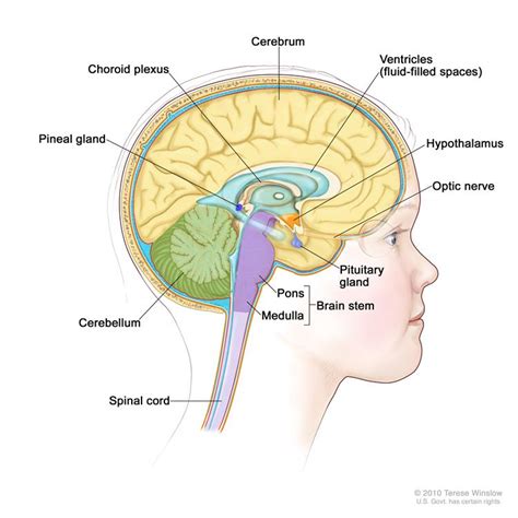 Childhood Brain And Spinal Cord Tumors Treatment Overview