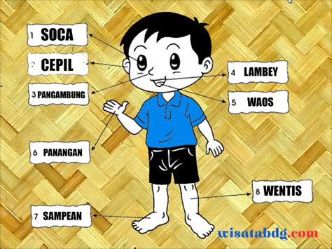 Belajar Bahasa Sunda Yuk Berikut Nama Nama Anggota Tubuh Dalam Bahasa