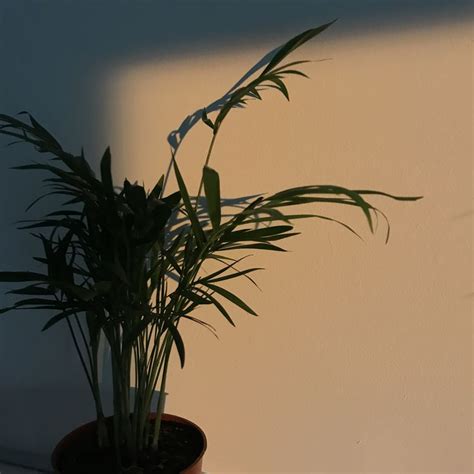 Simply click on the smart object layer and drop your picture or text there. Pin on Aesthetic