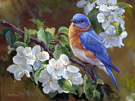 Lancaster County Blue Bird By Laura Mark Finberg Birds Painting