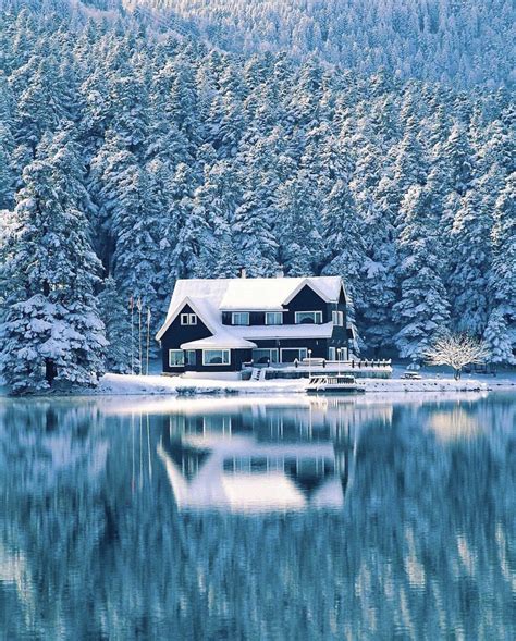 Winter Wonderland In Switzerland Roddlysatisfying