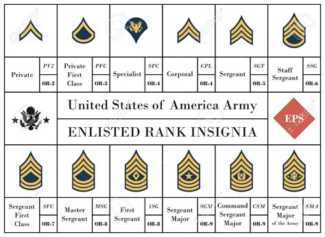 Us Military Us Military Rank Insignia Images And Photos Finder