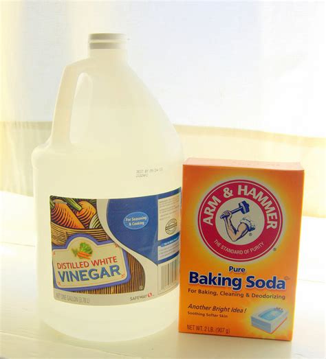 First of all, why to baking soda and vinegar react the way they do? How to Clean with Baking Soda and Vinegar - Crafting a ...
