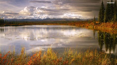 Denali National Park And Preserve Wallpapers Wallpaper Cave