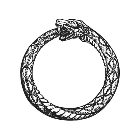 Ouroboros Symbol Meaning Interesting Facts And Origins