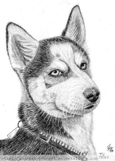 We did not find results for: dibujos a lapiz de perros - Buscar con Google | Dibujos, Dibujos de perros, Perros