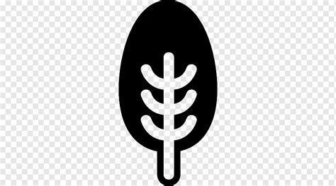 Computer Icons Tree Tree Leaf Symmetry Shape Png PNGWing