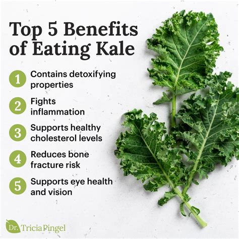 5 Benefits Of Eating Kale Dr Pingel