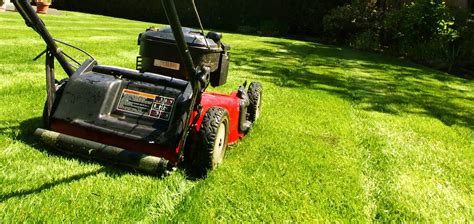 When To Start Mowing Your North Texas Lawn Chorbie Home Services