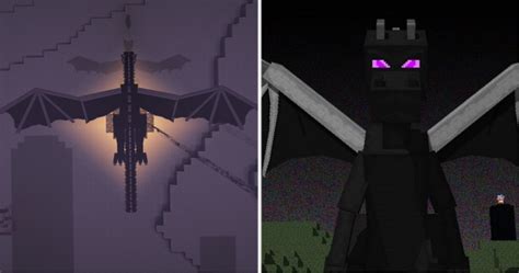 Minecraft 10 Things You Didnt Know About The Ender Dragon