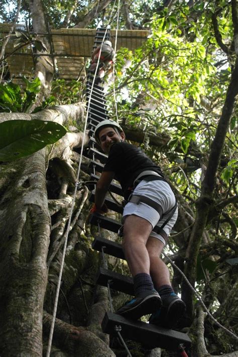 In recent years, rainforest canopy tours, with zip lines and suspension bridges, have flourished in costa rica. Original Canopy Tour at Monteverde - Central American ...