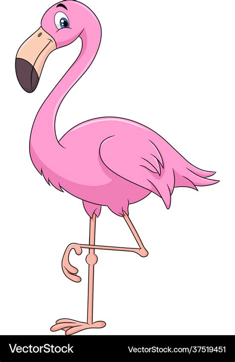 Flamingo Cartoon Royalty Free Vector Image Vectorstock
