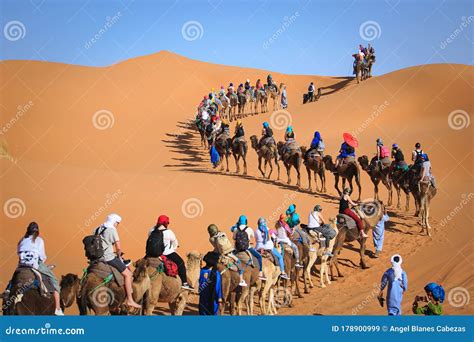 People Riding Camel In The Sahara Desert Morocco Editorial Stock Image