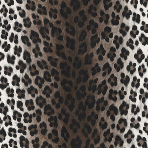 🔥 Download Creation Leopard Tiger Zebra Jungle Animal Skin Print Luxury