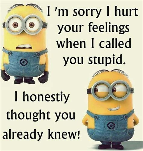 Stupid With Images Minions Funny Minions You Stupid