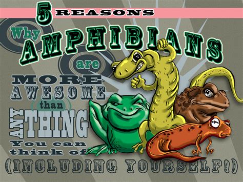 Free Amphibians Poster I Compiled My Last 5 Blog Posts Int Flickr
