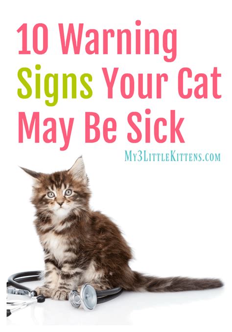You may try to manage your condition with home remedies. 10 Warning Signs Your Cat May Be Sick - My 3 Little Kittens