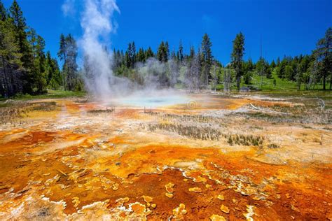 Hot Spring In Yellow Stone National Park In Usa Stock Image Image Of