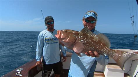 Grouper Rig Setup And Snapper Fishing Tackle For Offshore Fishing