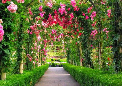 Gambar bunga yang cantik dan indah di dunia. Terbaru 26+ Foto Gambar Taman Bunga - Gambar Bunga Indah