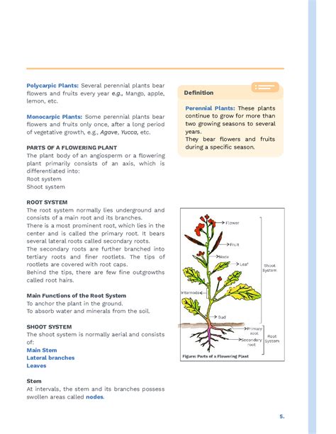 Download Study Notes For Neet Biology Morphology Of Flowering Plants