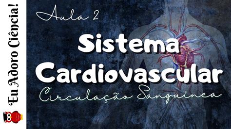 Sistema Cardiovascular Aula 2 Circulação Sanguínea Sistêmica E