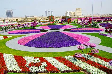 Dubai Miracle Garden World Biggest Flower Garden