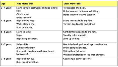 Child Physical Development Gross And Fine Motor Skills