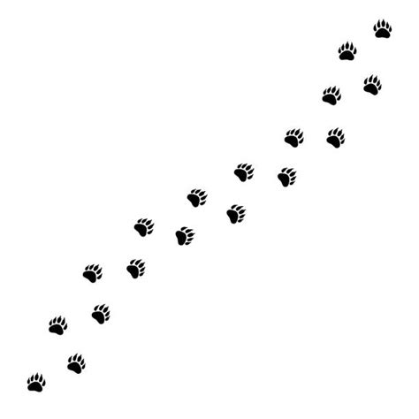 Panda Paw Stock Photos Pictures And Royalty Free Images Istock