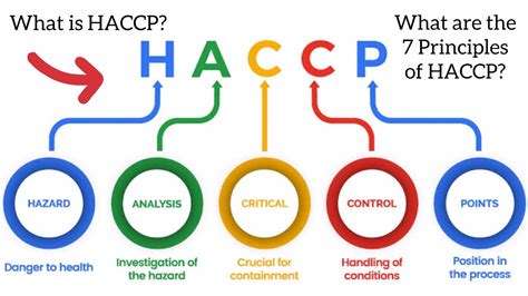 What Is Haccp What Are The Principles Of Haccp Explained Youtube