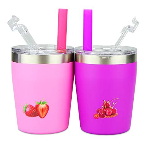 Housavvy 2 Pack 8oz Kids Stainless Steel Cups With Lids And Straws
