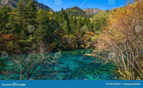 Panda Lake During Autumn Jiuzhaigou National Park China Stock Image