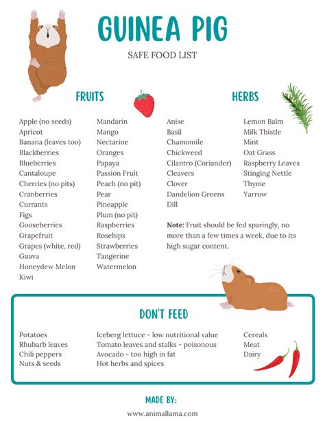 Safe Fresh Food List For Guinea Pigs Vegetables Fruits And Herbs