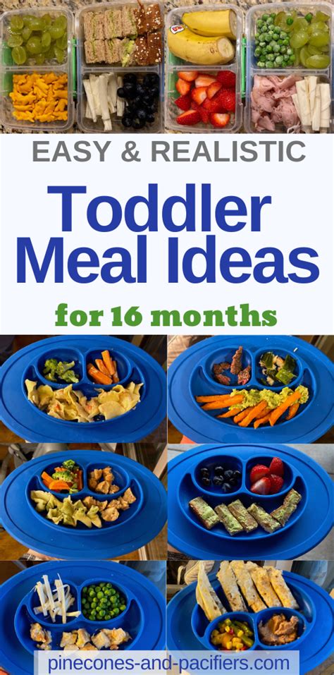 3 year old meal ideas & feeding schedule; Toddler Meal Ideas - 16 months | Healthy toddler meals ...