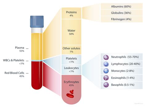 Types Of Blood Component