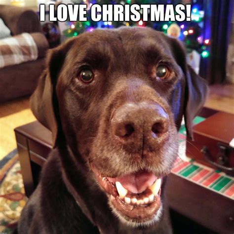 I Love Christmas Imgflip