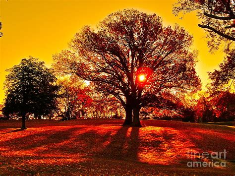 Autumn Sun And Shadows Photograph By Eugene Desaulniers Fine Art America