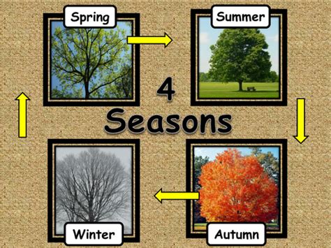4 Seasons Teaching Resources