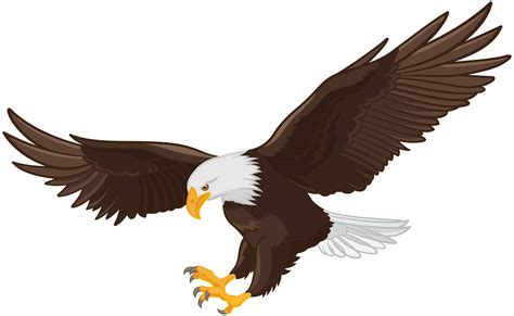 Eagle In Tree Clip Art Png Clipart Images And Photos Finder